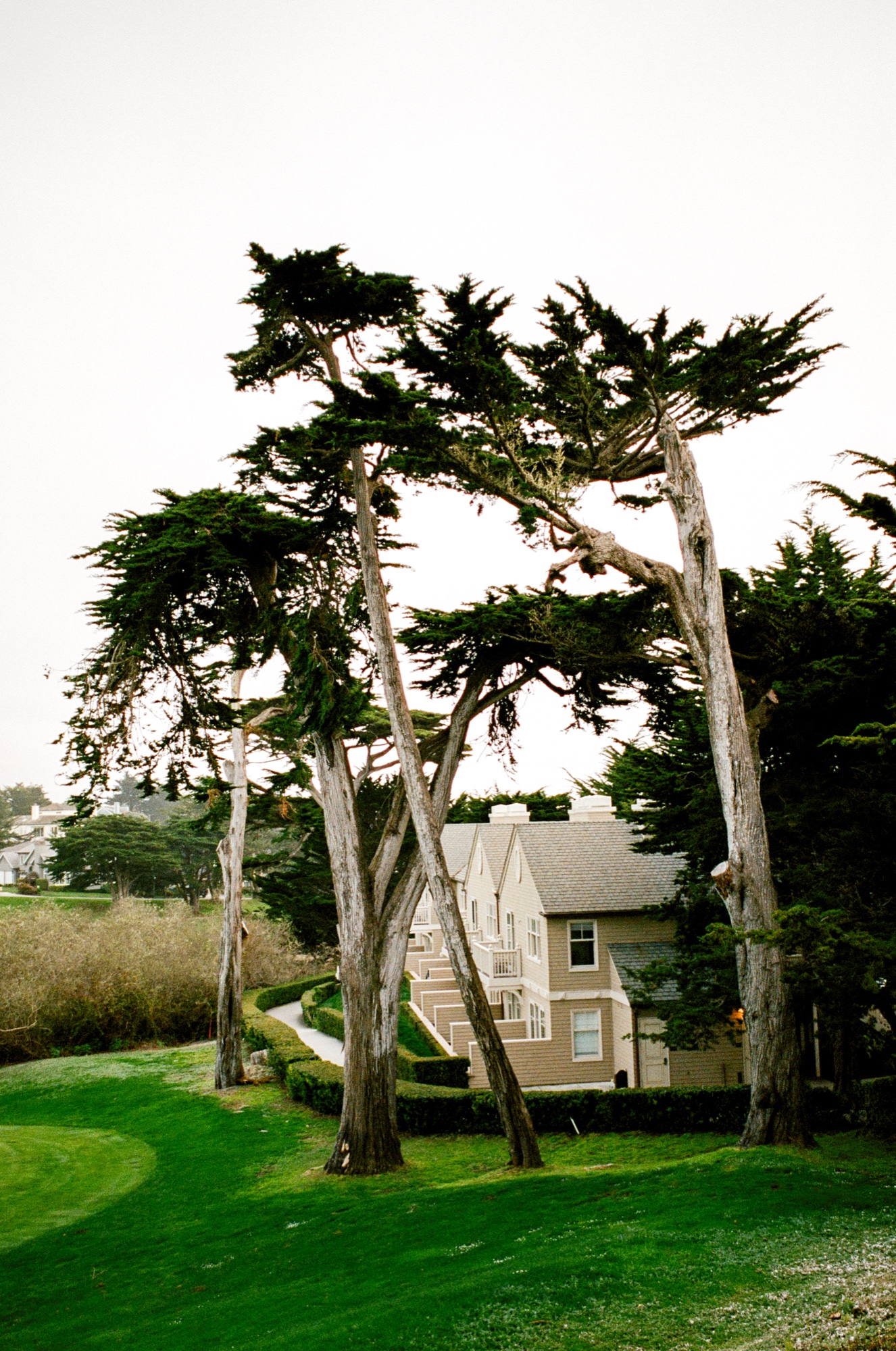 Half Moon Bay